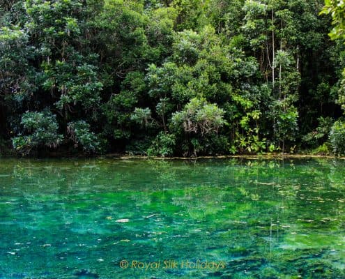 Emerald Pool Destination Management update